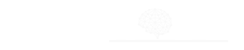 DATA NODE
